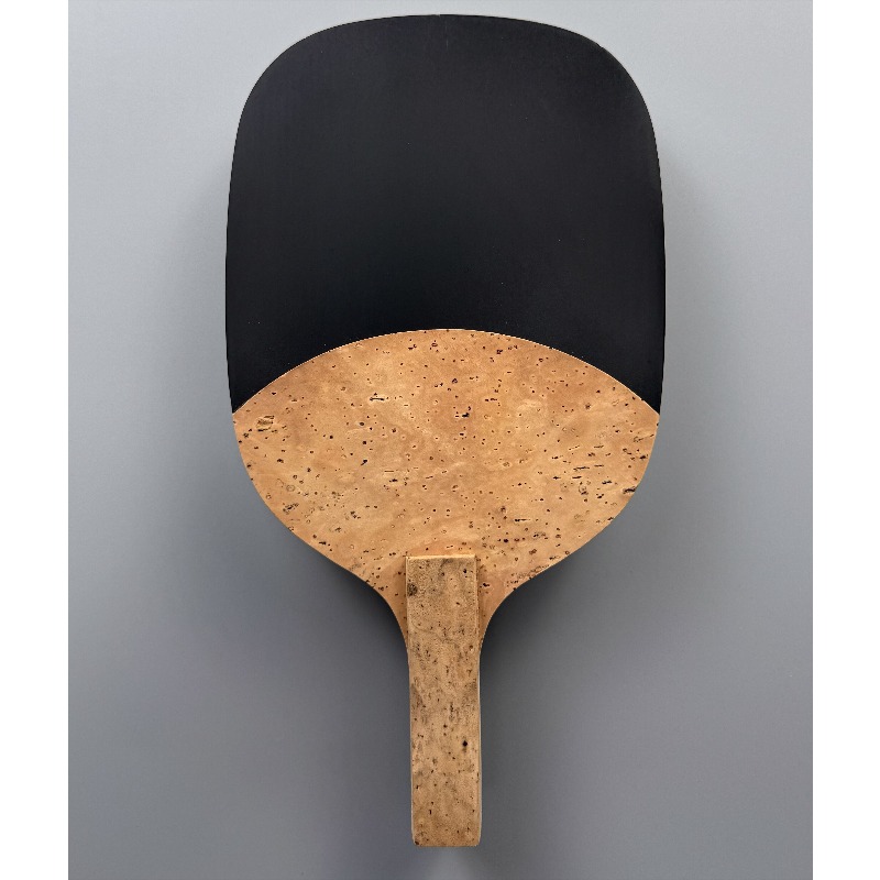 ไม้ปิงปอง Haitian Hinoki แบบจั - Table Tennis In Japanese บทวิจารณ์และราคา